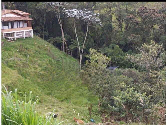 Casa de 3 alcobas en venta en Las Palmas, Envigado, 110 m² · foto 12 de 13