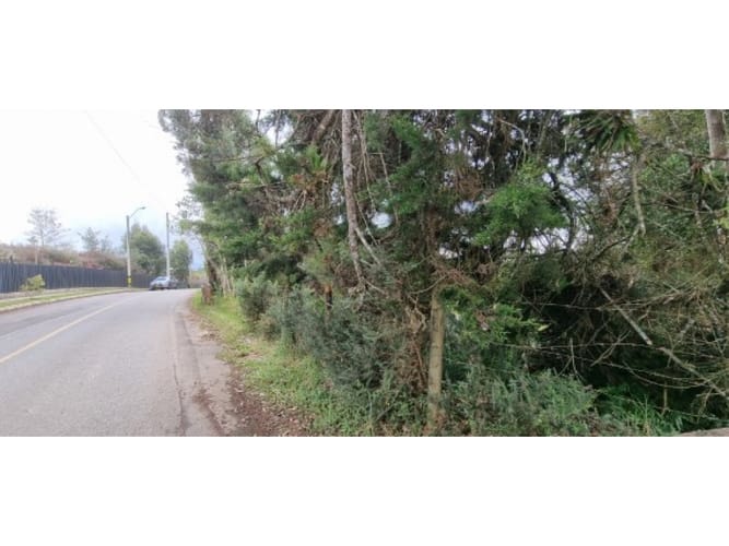 Lote en venta en Las Palmas, Envigado, 2700 m² · foto 4 de 6