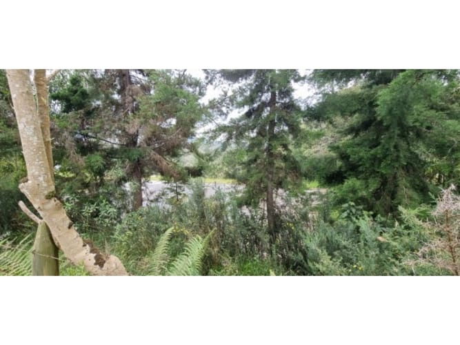 Lote en venta en Las Palmas, Envigado, 2700 m² · foto 5 de 6