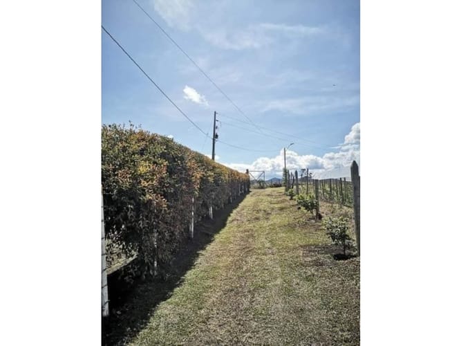 Finca en venta en El Porvenir, Rionegro, 250 m² · foto 11 de 22