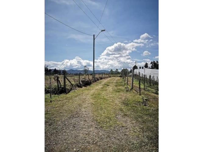 Finca en venta en El Porvenir, Rionegro, 250 m² · foto 12 de 22