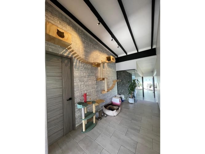 Casa de 4 alcobas en venta en Las Lomitas, Sabaneta, 315 m² · foto 21 de 24