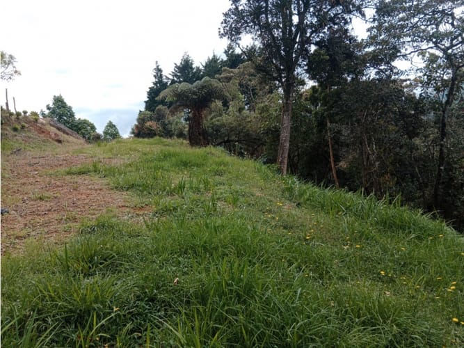 Lote en venta en Alto De La Virgen, Guarne, 2000 m² · foto 2 de 4