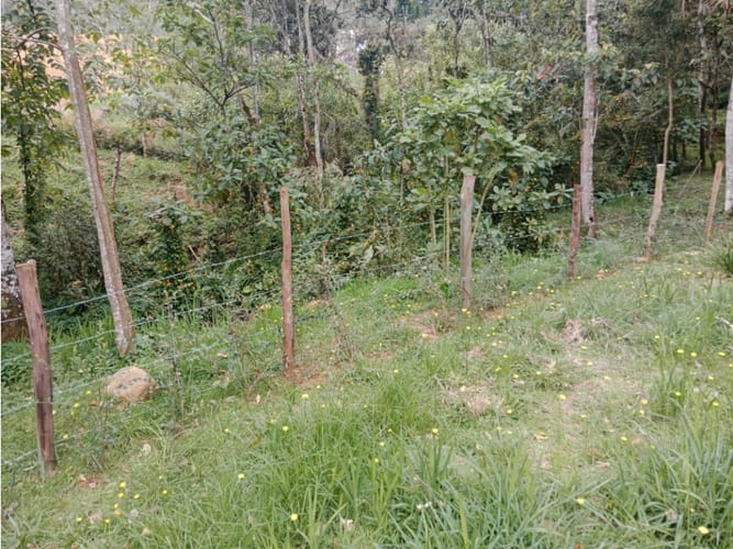 Lote en venta en Alto De La Virgen, Guarne, 2000 m² · foto 3 de 4