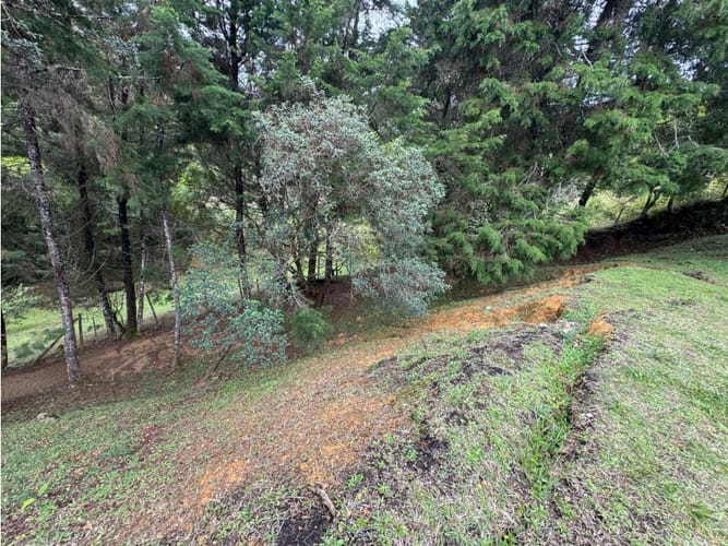 Lote en venta en Mampuesto, Rionegro, 2345 m² · foto 4 de 10