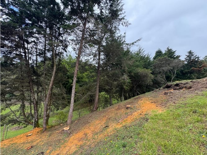 Lote en venta en Mampuesto, Rionegro, 2345 m² · foto 9 de 10