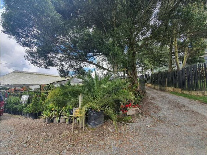 Lote en venta en Vía Las Palmas, Envigado, 10994 m² · foto 3 de 12
