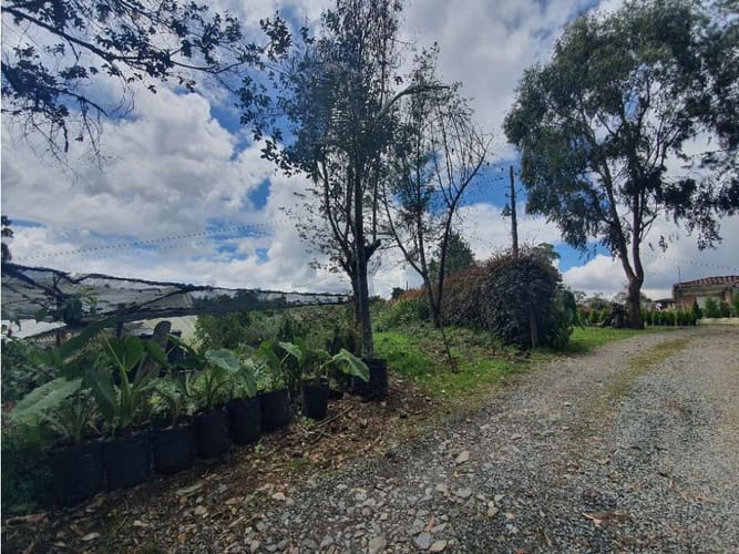Lote en venta en Vía Las Palmas, Envigado, 10994 m² · foto 4 de 12