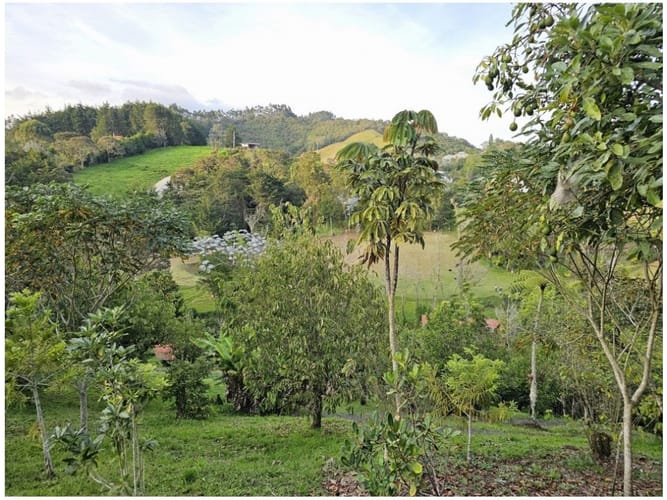 Casa de 4 alcobas en venta en El Chuscal, El Retiro, 450 m² · foto 3 de 24