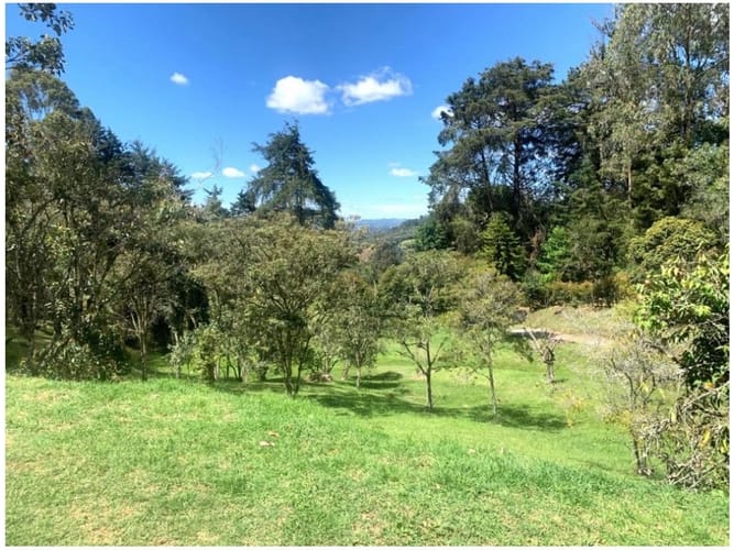 Casa de 3 alcobas en venta en Sajonia, Rionegro, 235 m² · foto 9 de 22