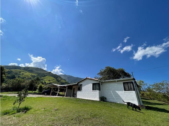 Finca en venta en Actividad Multiple, Copacabana, 180 m² · foto 14 de 24