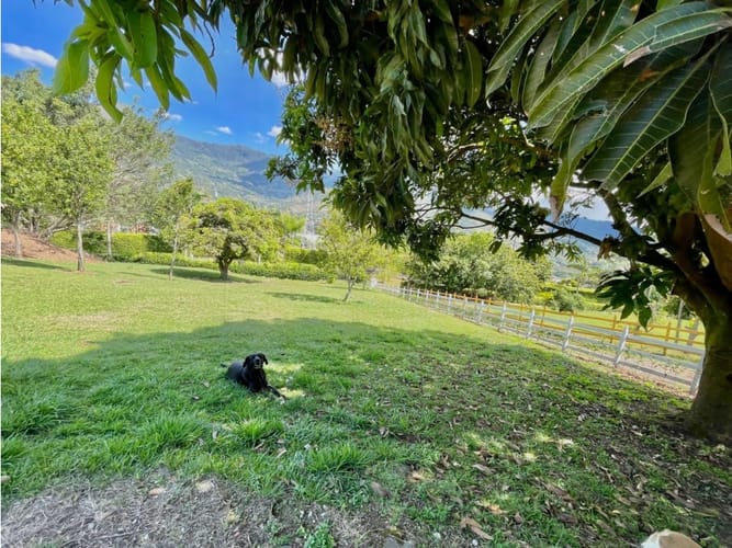 Finca en venta en Actividad Multiple, Copacabana, 180 m² · foto 22 de 24