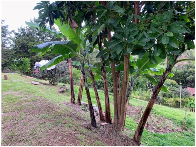Casa de 4 alcobas en venta en Abreo, Rionegro, 427 m² · foto 8 de 23