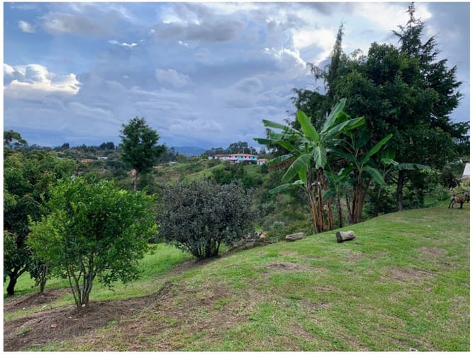 Casa de 4 alcobas en venta en Abreo, Rionegro, 427 m² · foto 13 de 23