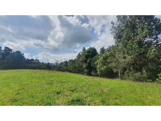 Lote en venta en Vía Las Palmas, Envigado, 9501 m² · foto 2 de 11