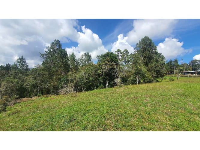 Lote en venta en Vía Las Palmas, Envigado, 9501 m² · foto 3 de 11