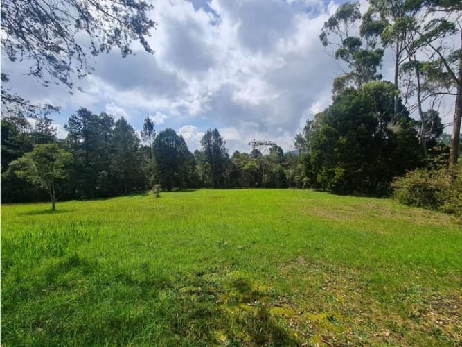 Lote en venta en Vía Las Palmas, Envigado, 9501 m² · foto 6 de 11