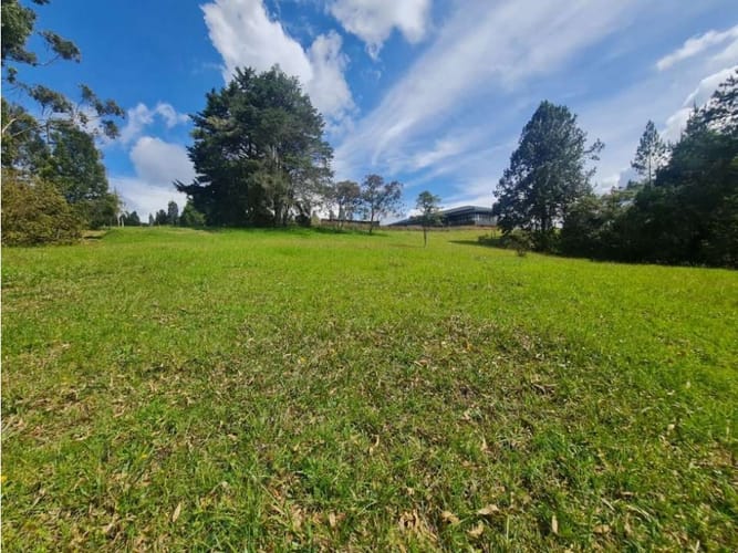 Lote en venta en Vía Las Palmas, Envigado, 9501 m² · foto 7 de 11