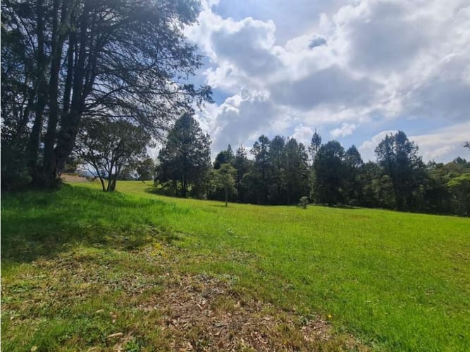 Lote en venta en Vía Las Palmas, Envigado, 9501 m² · foto 8 de 11
