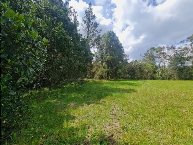 Lote en venta en Vía Las Palmas, Envigado, 9501 m² · foto 9 de 11