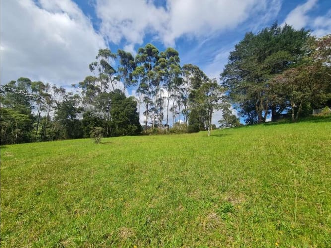 Lote en venta en Vía Las Palmas, Envigado, 9501 m² · foto 10 de 11