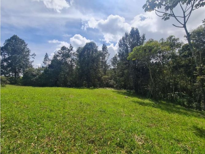 Lote en venta en Vía Las Palmas, Envigado, 9501 m² · foto 11 de 11