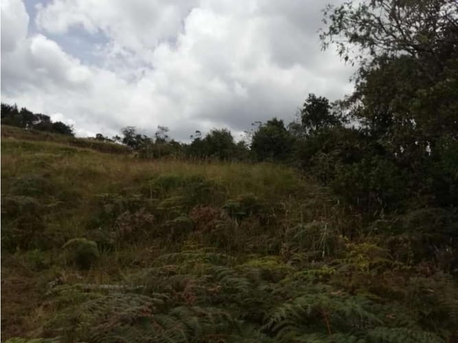 Lote en venta en Pantanillo, Envigado, 10000 m² · foto 2 de 17