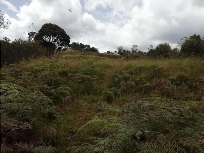 Lote en venta en Pantanillo, Envigado, 10000 m² · foto 3 de 17