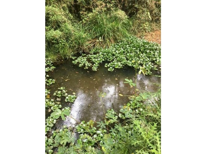 Lote en venta en Pantanillo, Envigado, 10000 m² · foto 8 de 17