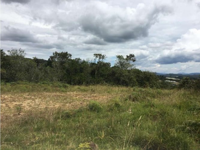 Lote en venta en Pantanillo, Envigado, 10000 m² · foto 10 de 17
