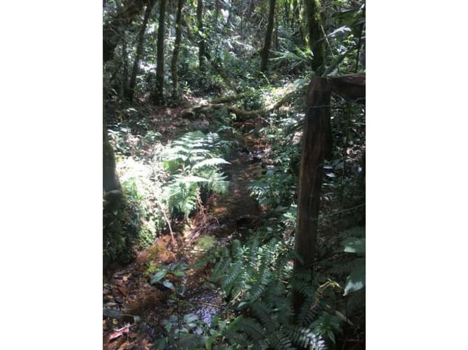 Lote en venta en Pantanillo, Envigado, 10000 m² · foto 12 de 17