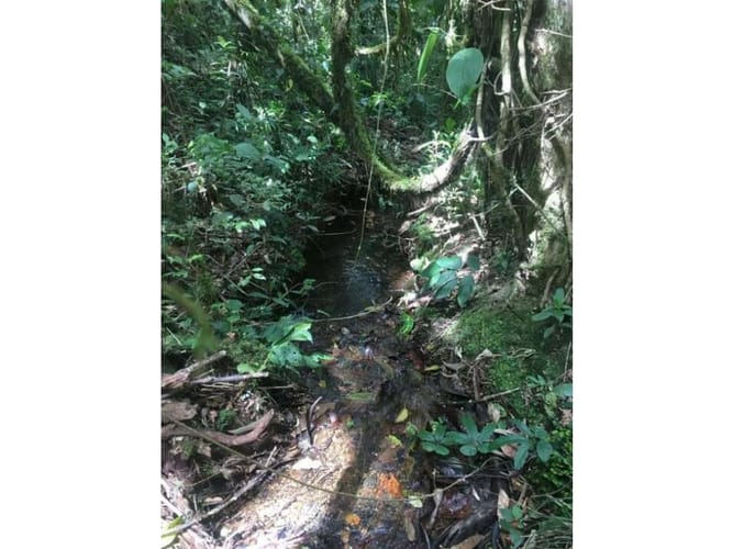 Lote en venta en Pantanillo, Envigado, 10000 m² · foto 16 de 17