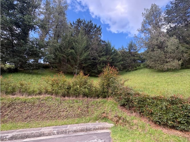 Lote en venta en El Chuscal, El Retiro, 2500 m² · foto 2 de 6
