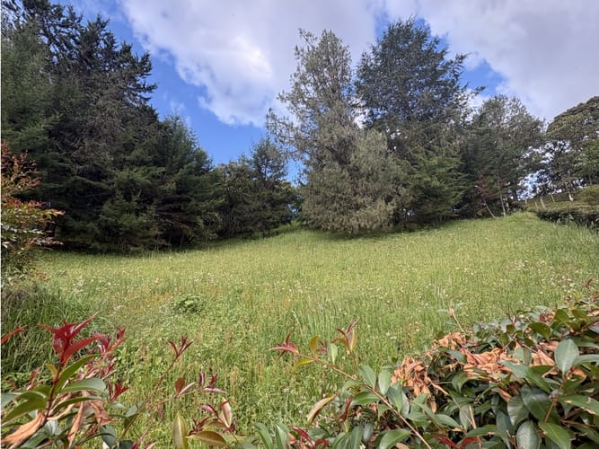 Lote en venta en El Chuscal, El Retiro, 2500 m² · foto 3 de 6