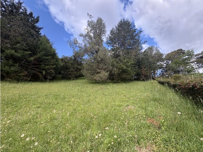 Lote en venta en El Chuscal, El Retiro, 2500 m² · foto 4 de 6