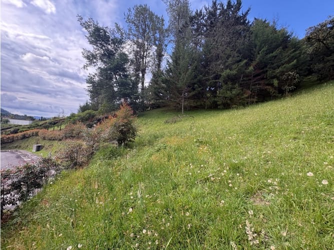 Lote en venta en El Chuscal, El Retiro, 2500 m² · foto 6 de 6