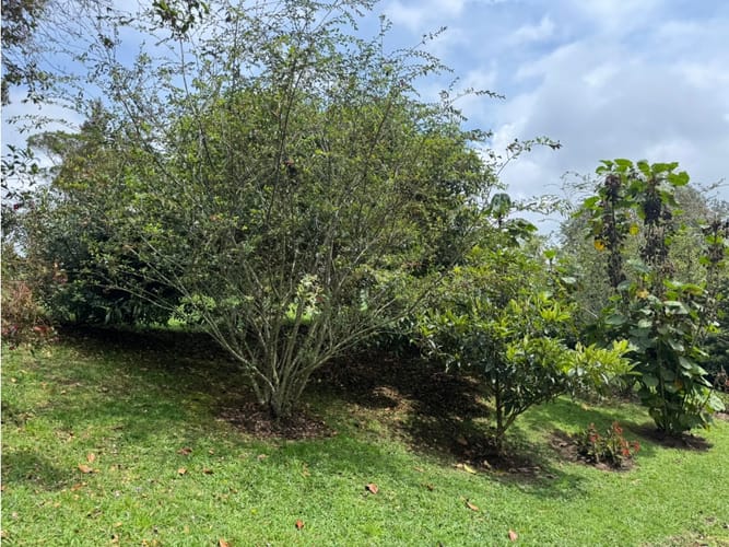 Casa de 2 alcobas en venta en El Tambo, La Ceja, 155 m² · foto 13 de 20