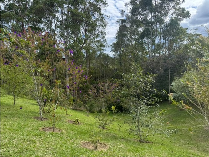 Casa de 2 alcobas en venta en El Retiro, 133 m² · foto 16 de 19