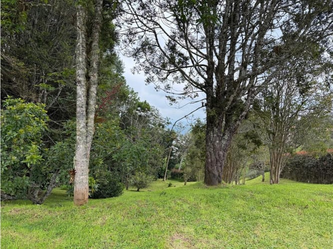 Lote en venta en Vía Las Palmas, Envigado, 2274 m² · foto 3 de 6