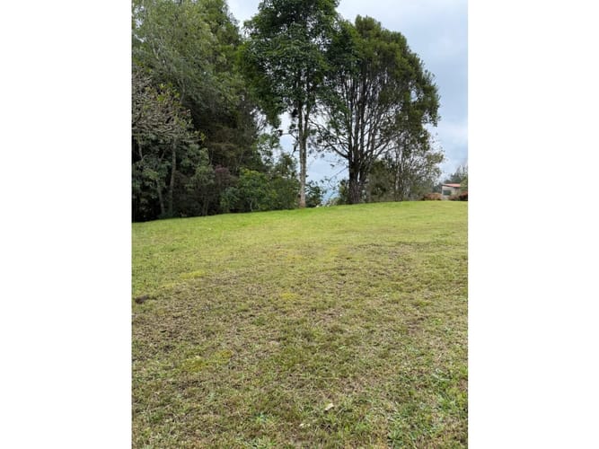 Lote en venta en Vía Las Palmas, Envigado, 2274 m² · foto 4 de 6