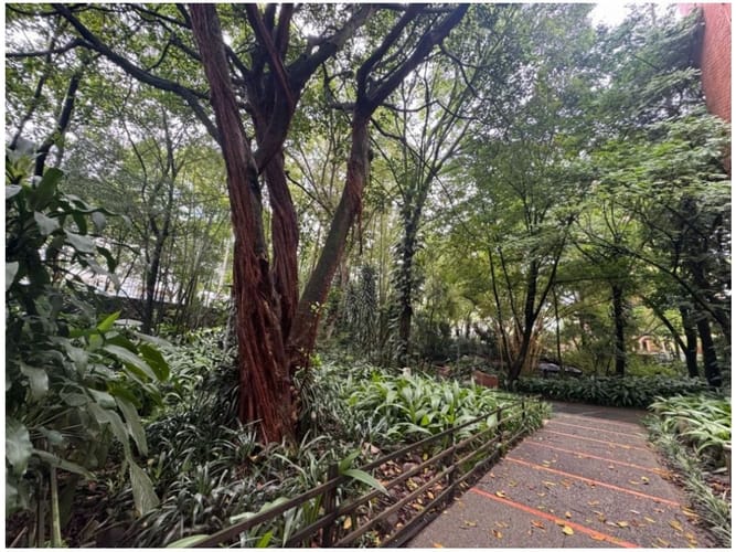 Apartamento de 2 alcobas en venta en Astorga, Medellín, 162 m² · foto 14 de 20