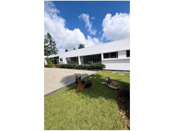 Casa de 4 alcobas en venta en Vía Las Palmas, Envigado, 466 m² · foto 3 de 17