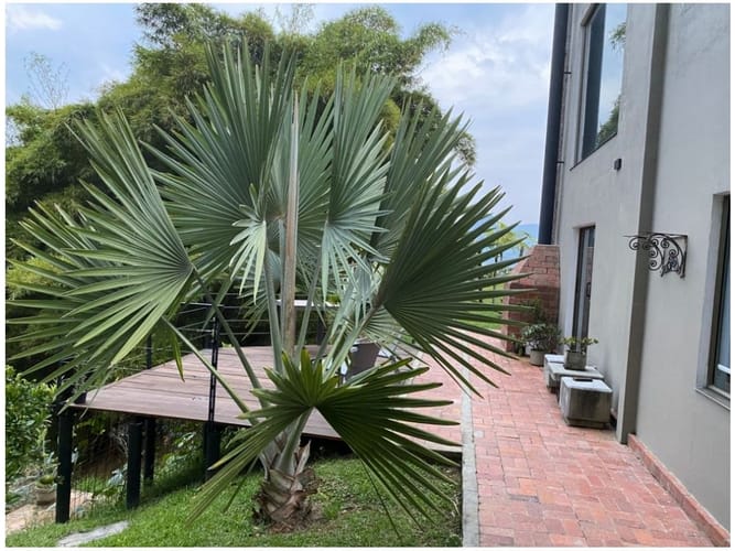Finca en venta en El Morro, Medellín, 150 m² · foto 4 de 16