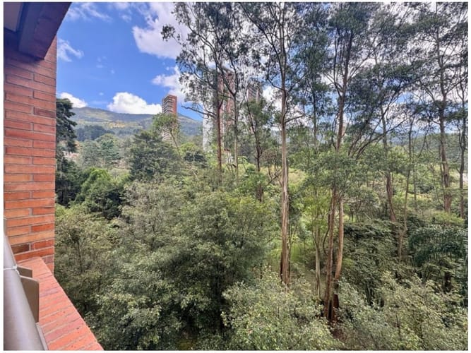 Apartamento de 3 alcobas en venta en Los Naranjos, Medellín, 245 m² · foto 7 de 24
