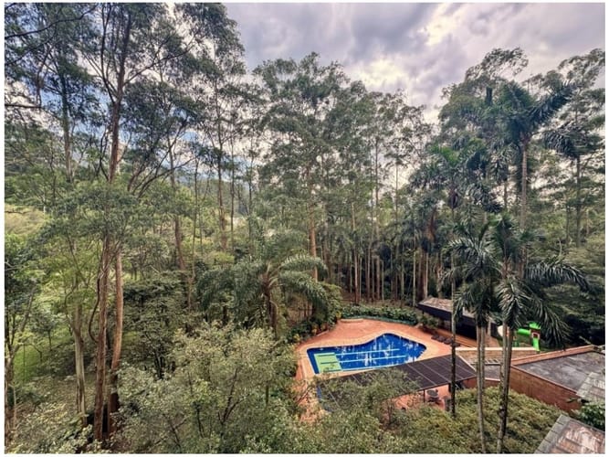 Apartamento de 3 alcobas en venta en Los Naranjos, Medellín, 245 m² · foto 21 de 24