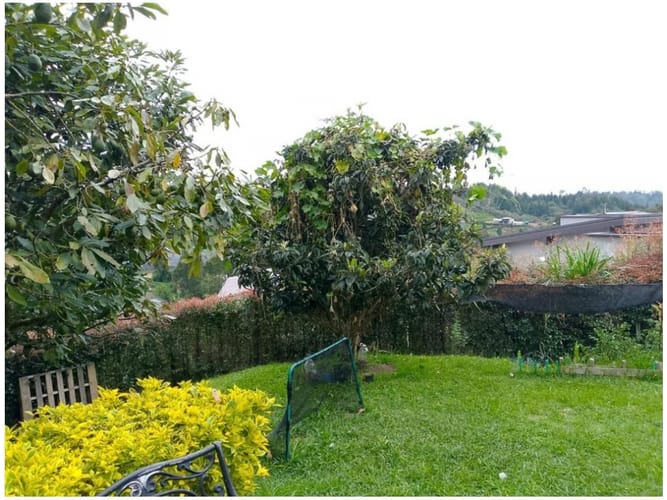 Finca en venta en Hojas Anchas, Guarne, 240 m² · foto 3 de 24