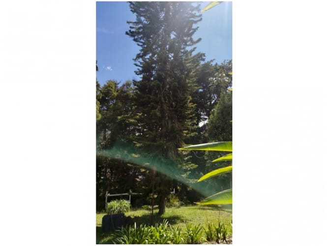 Finca en venta en Santa Elena, Medellín, 220 m² · foto 11 de 18