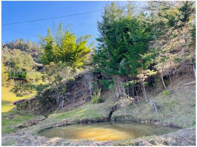 Finca en venta en Compa�Ia Abajo, Medellín, 5200 m² · foto 18 de 18