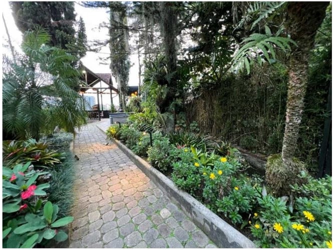Casa de 3 alcobas en venta en El Chingui, Envigado, 235 m² · foto 4 de 24