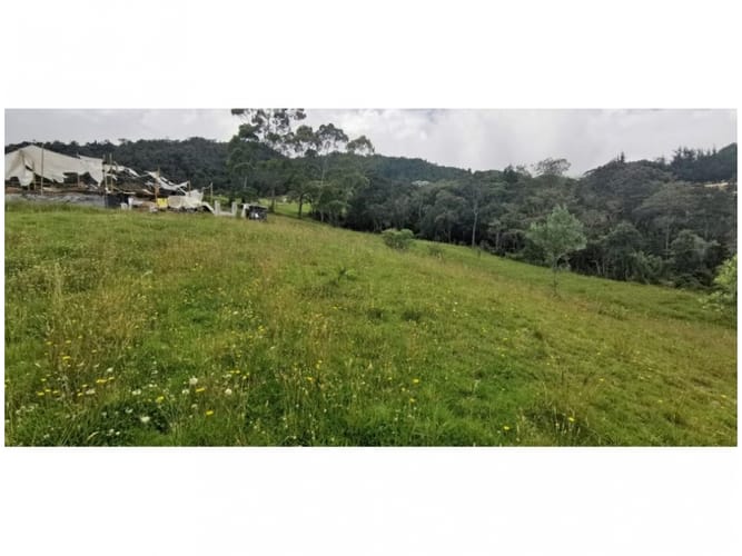 Lote en venta en Vía Las Palmas, Envigado, 2099 m² · foto 4 de 8